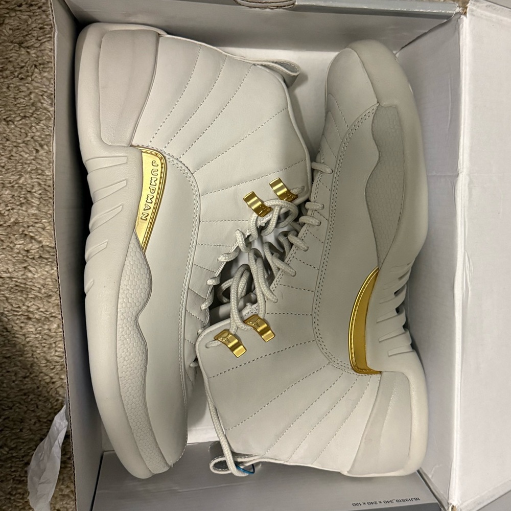 Air Jordan 12 retro phantom men